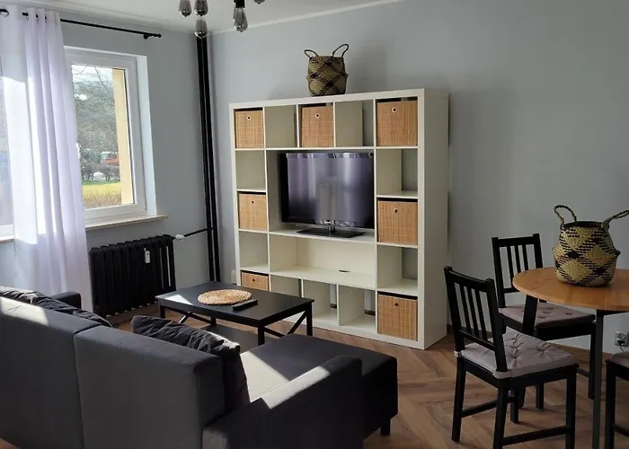 Zabcia - Przy Skm Zabianka Kolo Sopotu *