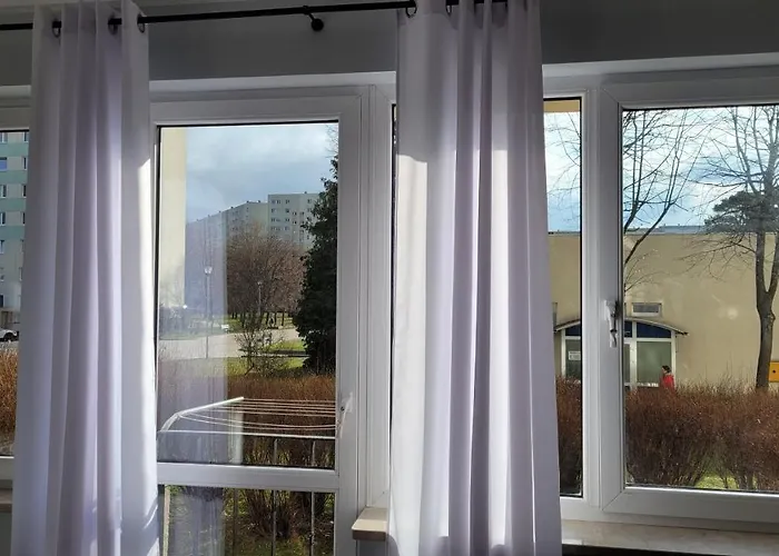 Zabcia - Przy Skm Zabianka Kolo Sopotu Gdańsk